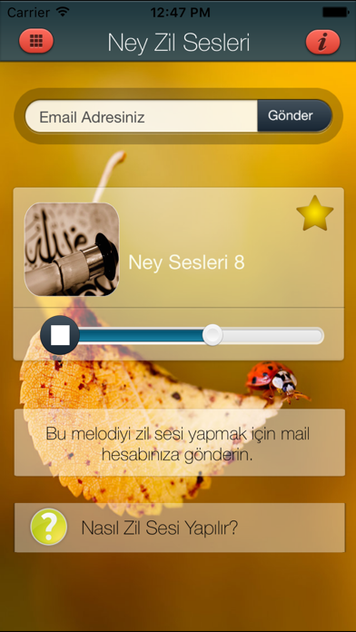 Screenshot #2 pour Ney Zil Sesleri