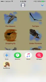 birds for words for imessage problems & solutions and troubleshooting guide - 2