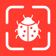 Bug Identifier & Insect Id