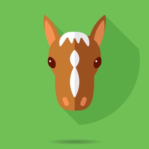 HorseCare: Horse Riding App