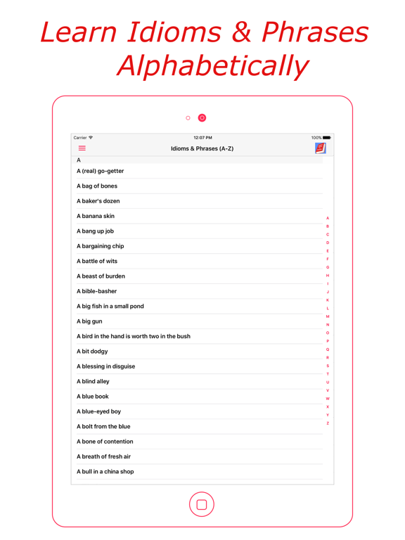 Idioms & Phrases (English) iPad screenshot 4 - Education app