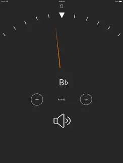 Smart Metronome & Tuner iPad image 3