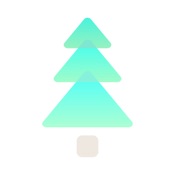 WoodBox - Useful Toolbox