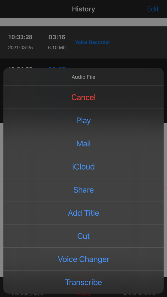 #4. Voice Recorder, Voice Memos ™ (iOS) 由: Milad Fakhr