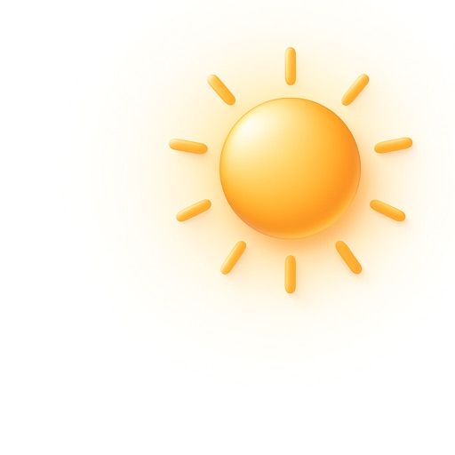 Sunday Diary- Minimal Diary