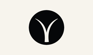 YYOGA at Home