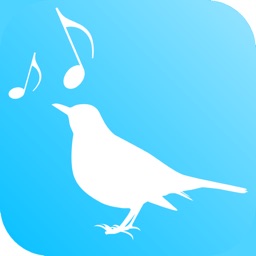 Amsel - Train your Voice