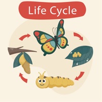 Learn life cycle for toddler