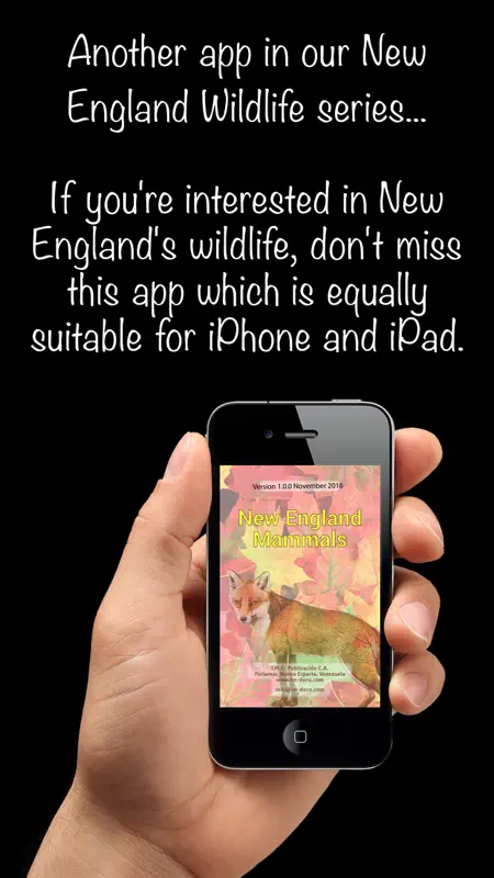 New England Mammals screenshot 1 of 5