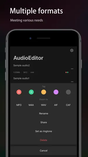 Audio Editor - Music editor screenshot 5
