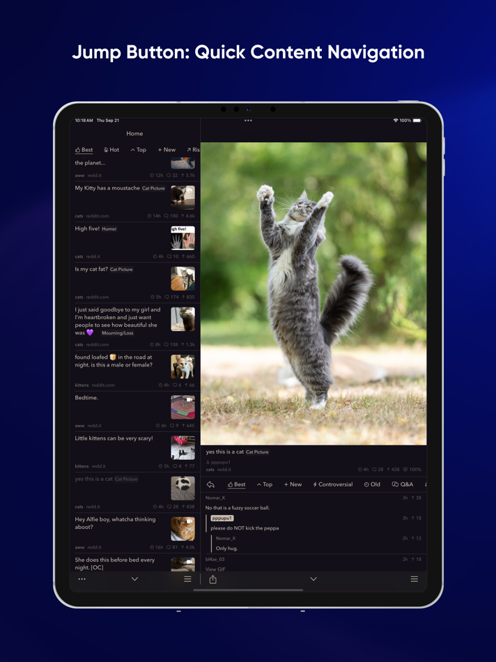 #9. Narwhal for Reddit (iOS) Tekijänä: robot swingset, llc.