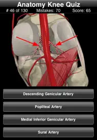 Anatomy Knee Quiz iphone bilder 3