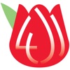 巴金森寶典 icon