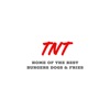 TNT Coney Island icon