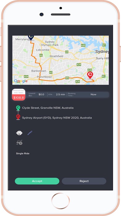 Screenshot #3 pour CABIDZ DRIVER