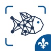 iPêche icon