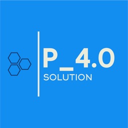 P 4.0 SOLUTION