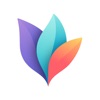 MindNode: Mind Map & Outline icon