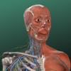 万康人体解剖-3dbody解剖 - 重庆兴丽和科技有限公司