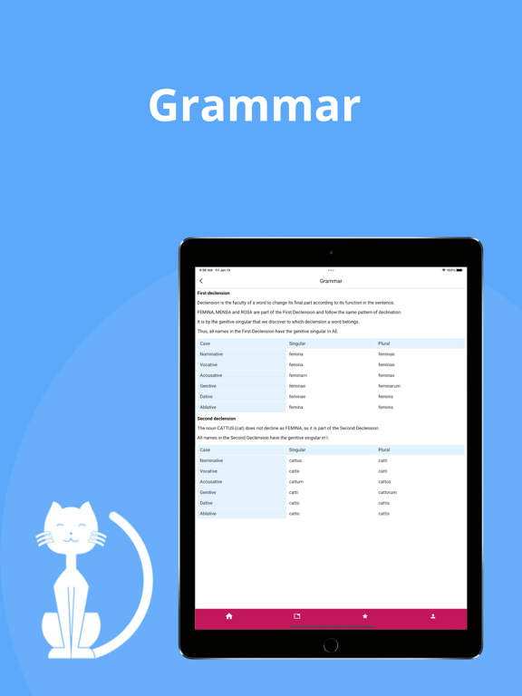 Screenshot #6 pour Cattus Learn Latin