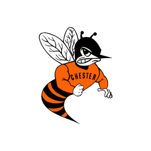 Chester School District 139