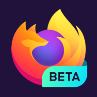 Firefox web browser