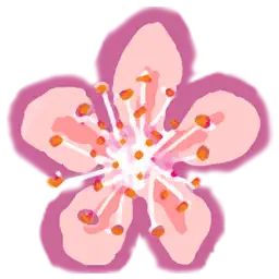 Hanami app icon