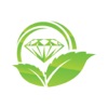 Gogreen Diamonds icon
