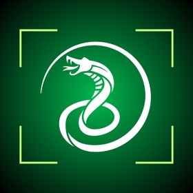 Snake Identifier - SnakeSnap