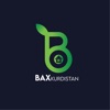 Bax Kurdistan icon