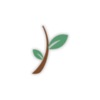 Lewiston Porter FCU icon