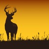 Solunartek icon