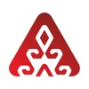 SalymFinance icon