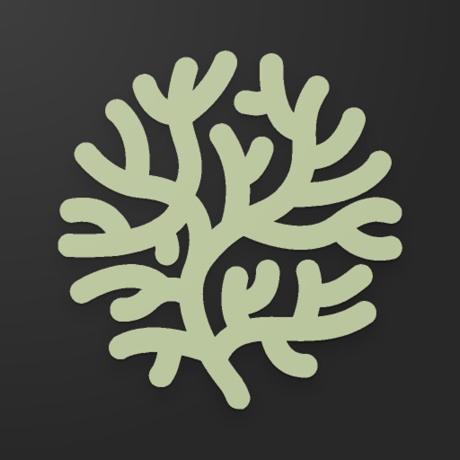 Lishash - AppWisp.com