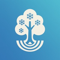 Tree Identifier - TreeBarkId app icon - Reference app for iPhone