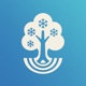 Tree Identifier - TreeBarkId app icon - Reference app for iPhone