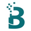 BRICK icon