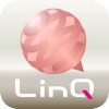 美P LinQ icon