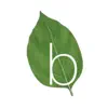 Basilico App Feedback