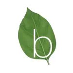 Basilico App Contact