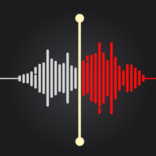 Voice Recorder — Audio Memos