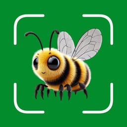 Insect Bug Identifier App