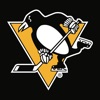 Pittsburgh Penguins icon