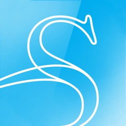 Swann Auction