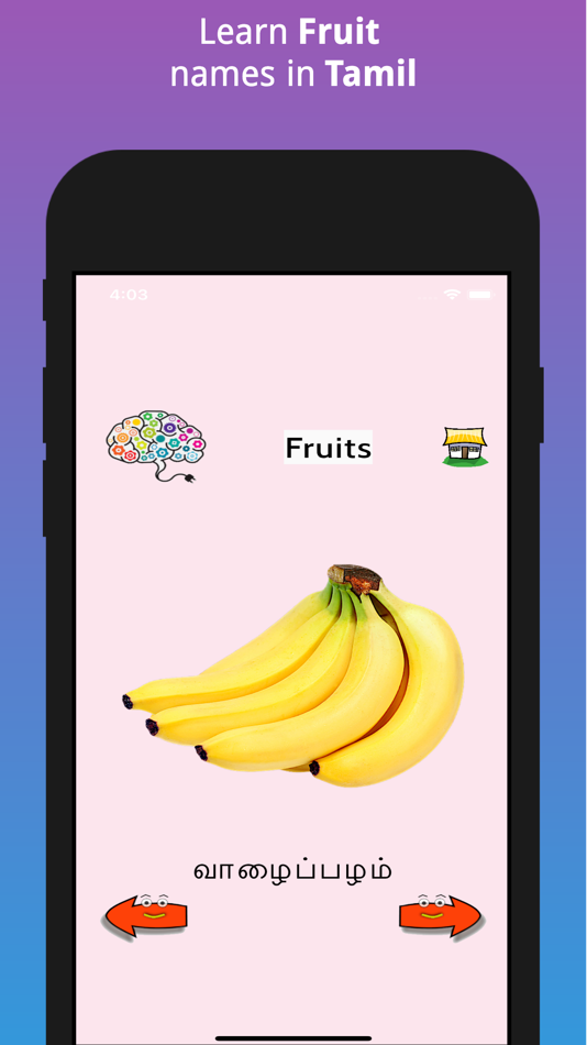 #3. Learn Tamil FlashCards (iOS) Podle: Bala Murugan Chandran