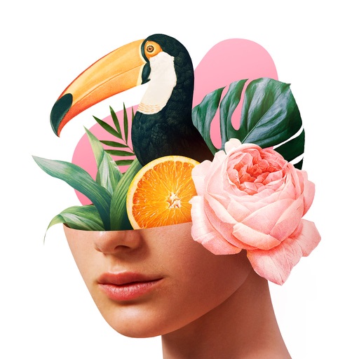 Dada: collage maker art canva - AppWisp.com