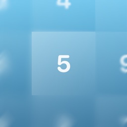 Schulte - Focus Game