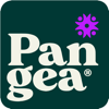 Pangea - Antonio Oramas