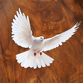螢幕擷取畫面 (4) Payra