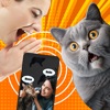 Cat Meow Sounds Training icon